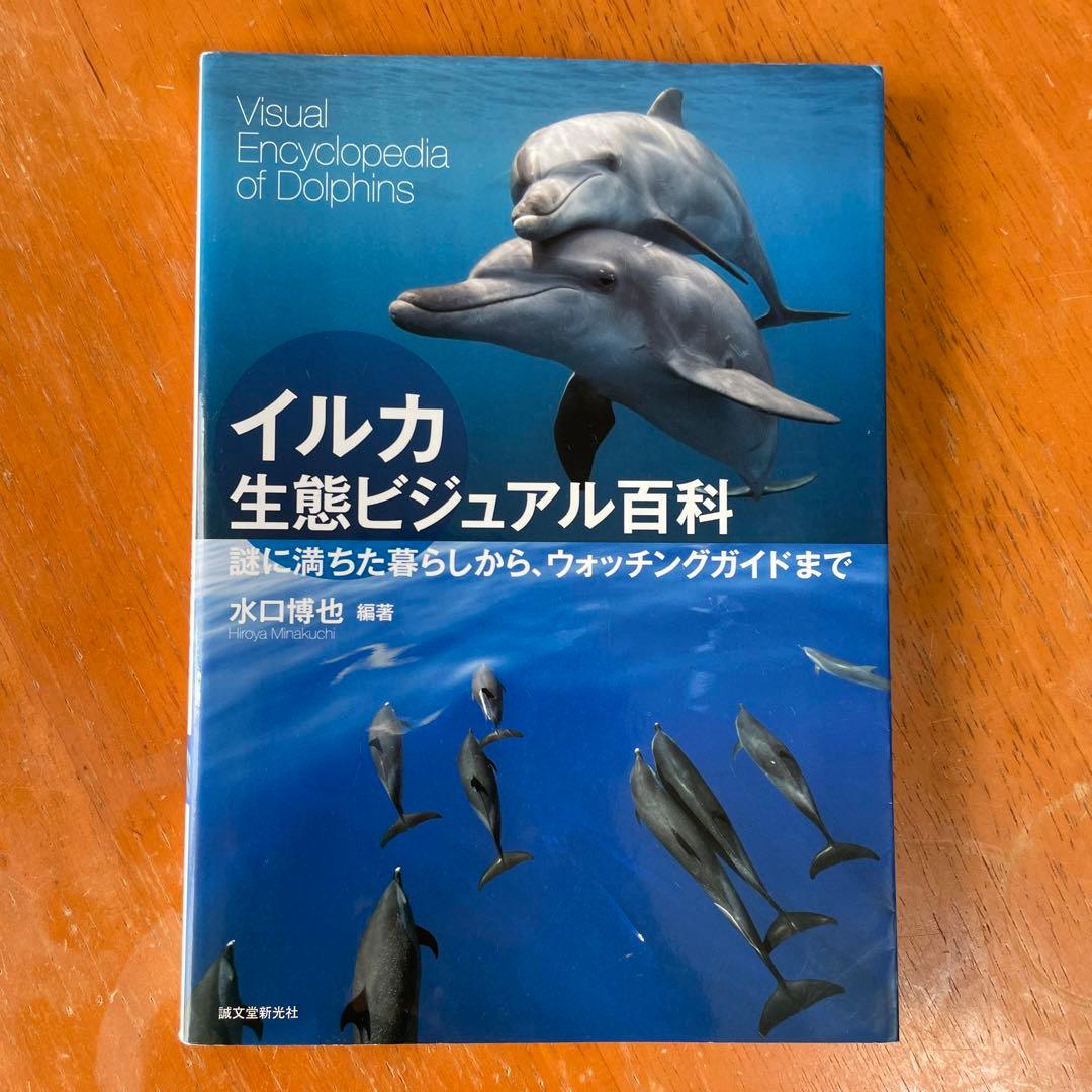 イルカ グッズセット - メルカリ