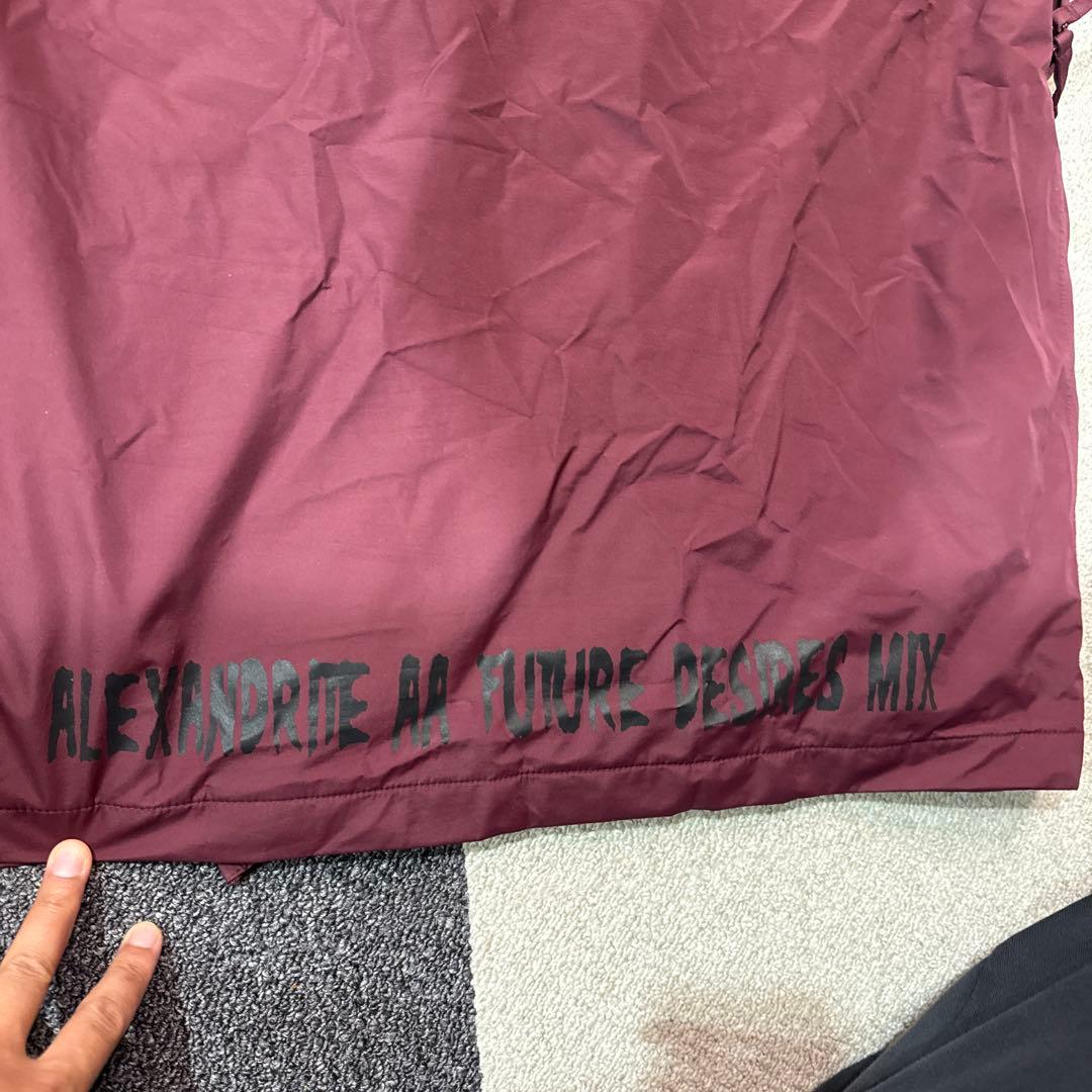 スノボウェア　THRASHER AA HARDWEAR Lサイズ