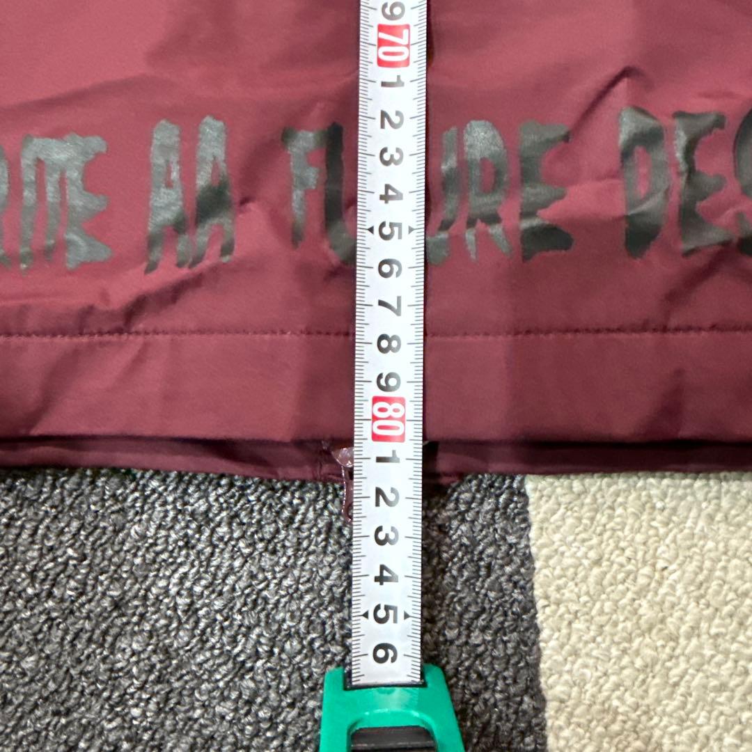 スノボウェア　THRASHER AA HARDWEAR Lサイズ