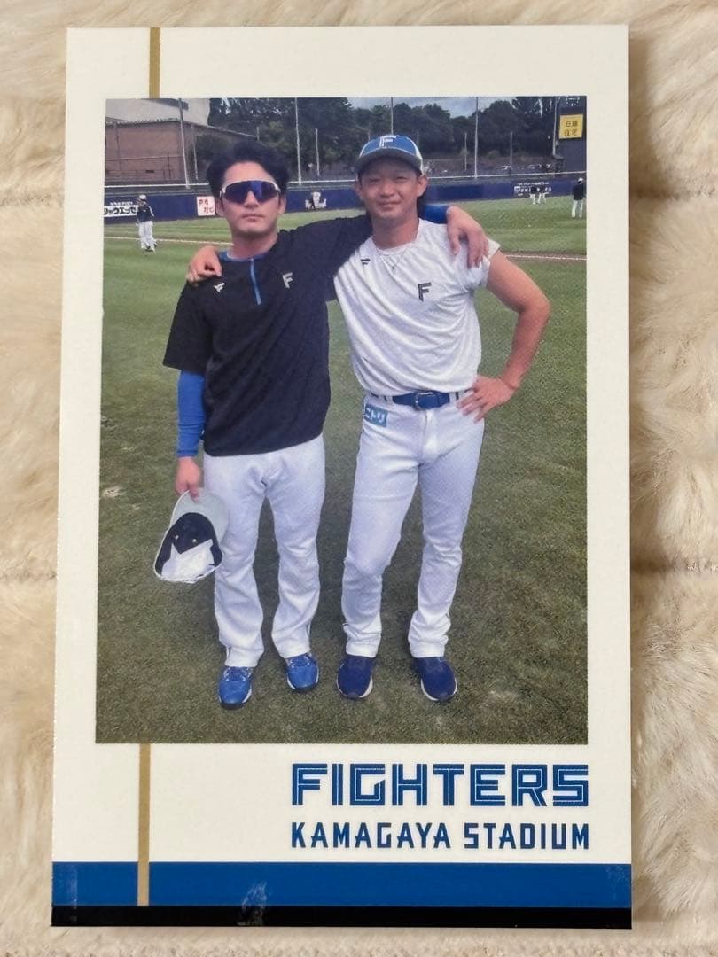 ファイターズ ぬいぐるみと選手グッズセット