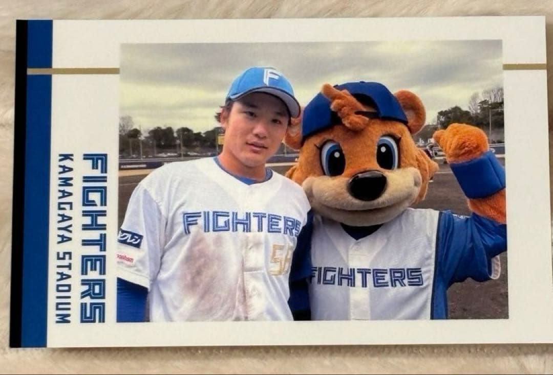 ファイターズ ぬいぐるみと選手グッズセット