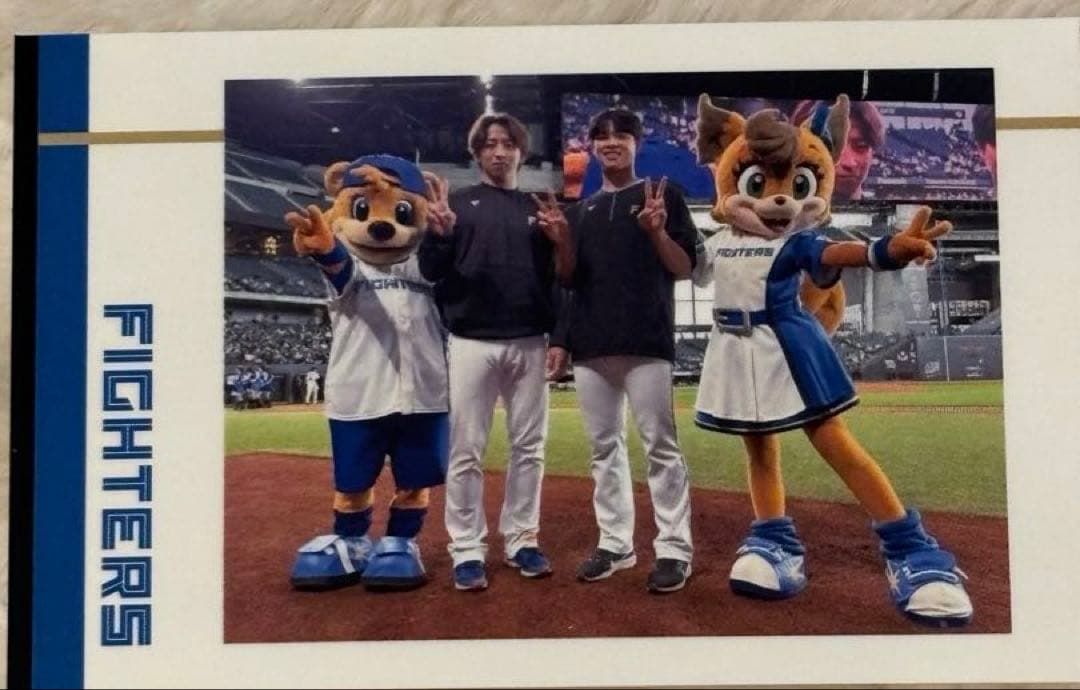 ファイターズ ぬいぐるみと選手グッズセット