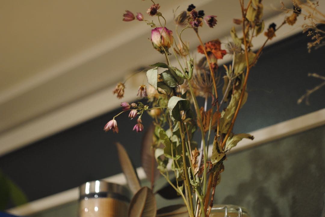 Nikon D3000 CCDデジタル一眼　ニッコール50mmオールドレンズ付