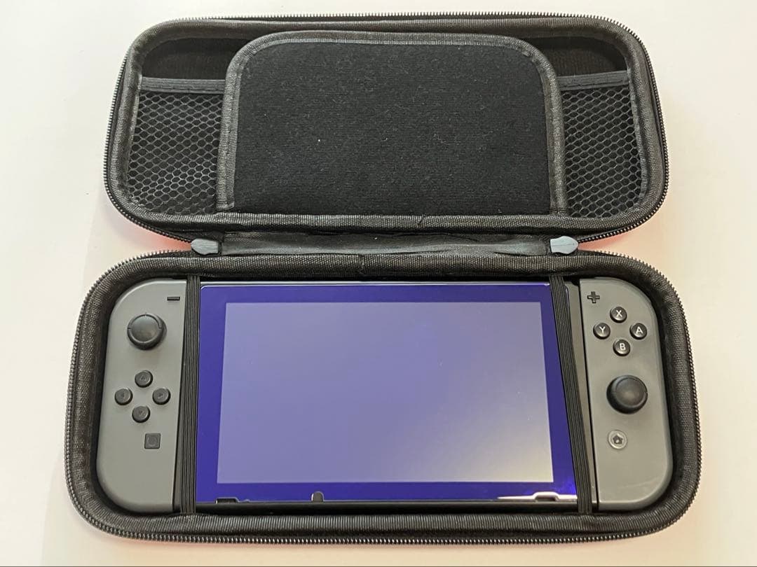 Nintendo Switch グレー 本体 + ジョイコングリップ