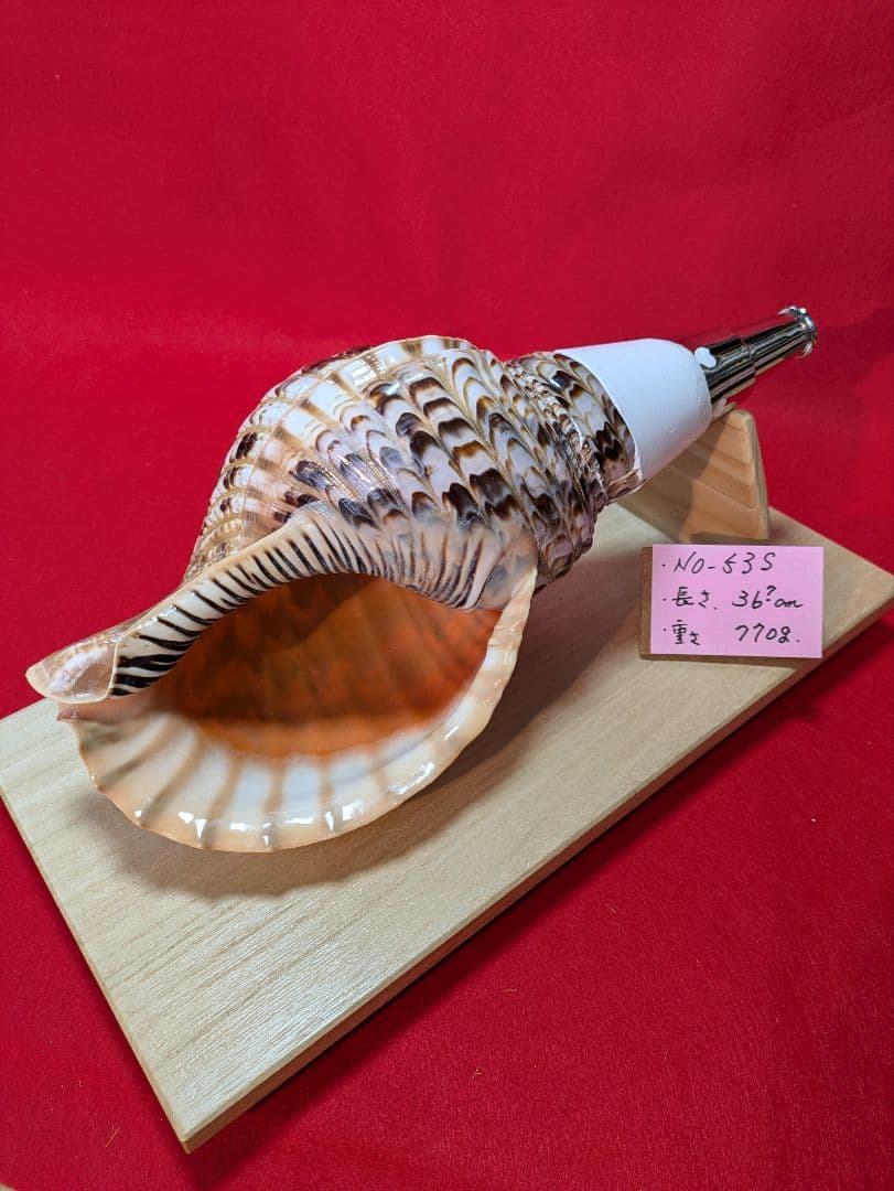 法螺貝、ＮＯ−５３Ｓ ホラ貝、和楽器、和太鼓、修験道、置物