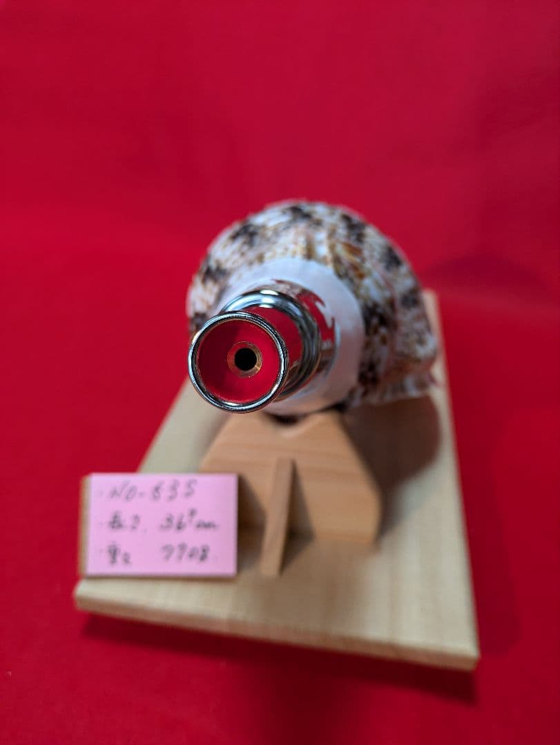 法螺貝、ＮＯ−５３Ｓ ホラ貝、和楽器、和太鼓、修験道、置物