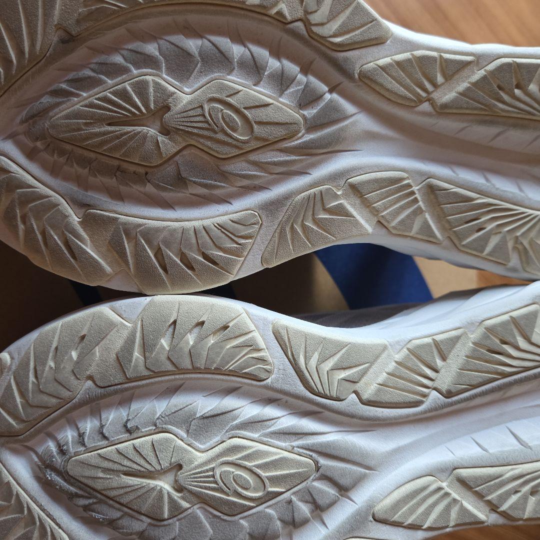 アシックスNOVABLAST 4 PLATINUM 24,5cm美品