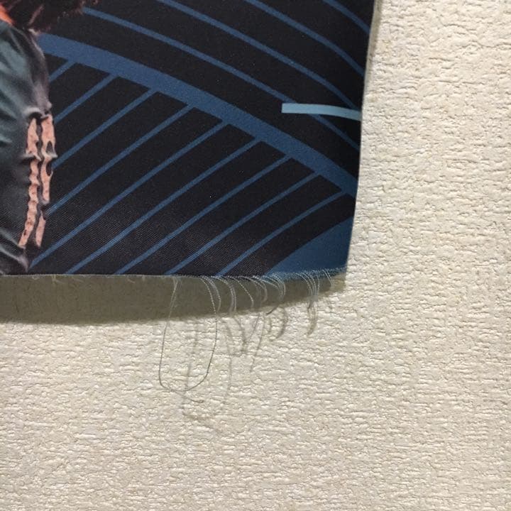 ラグビーワールドカップ 日本大会 横断幕