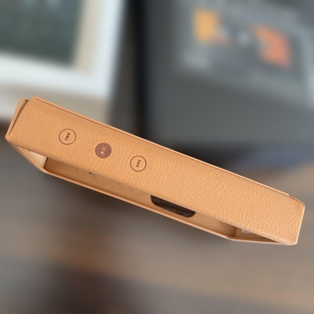 【国内正規品】 FiiO M21 /FIIO SK-M21C 別売りケース付き