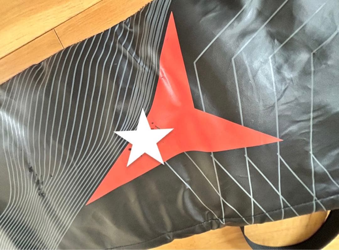 【板3本収納】アトミック　スキーケース