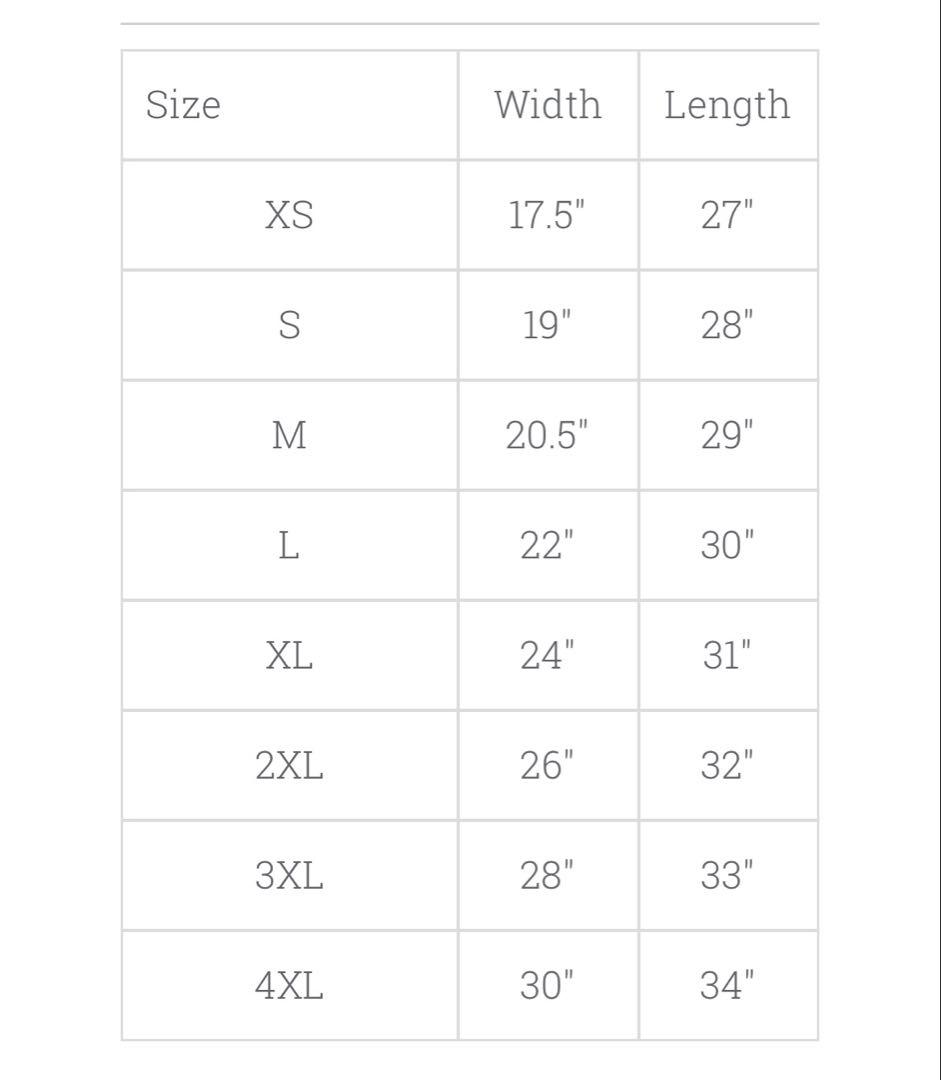 山本由伸選手　Tシャツ　子ライオン　RoToWear購入　Mサイズ