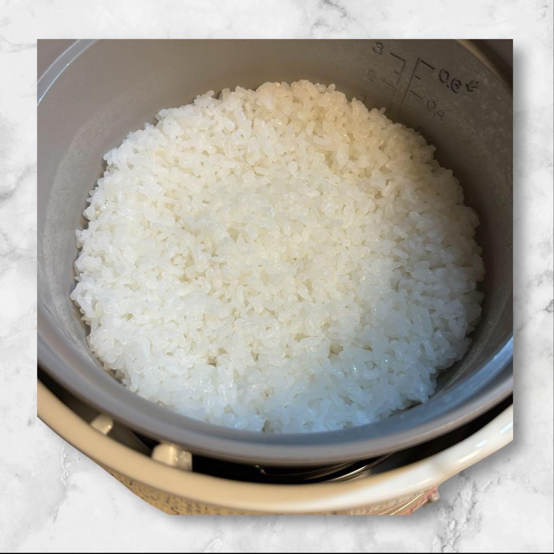 イワタニ　プリムス【キャンプでごはん】R-COOKER