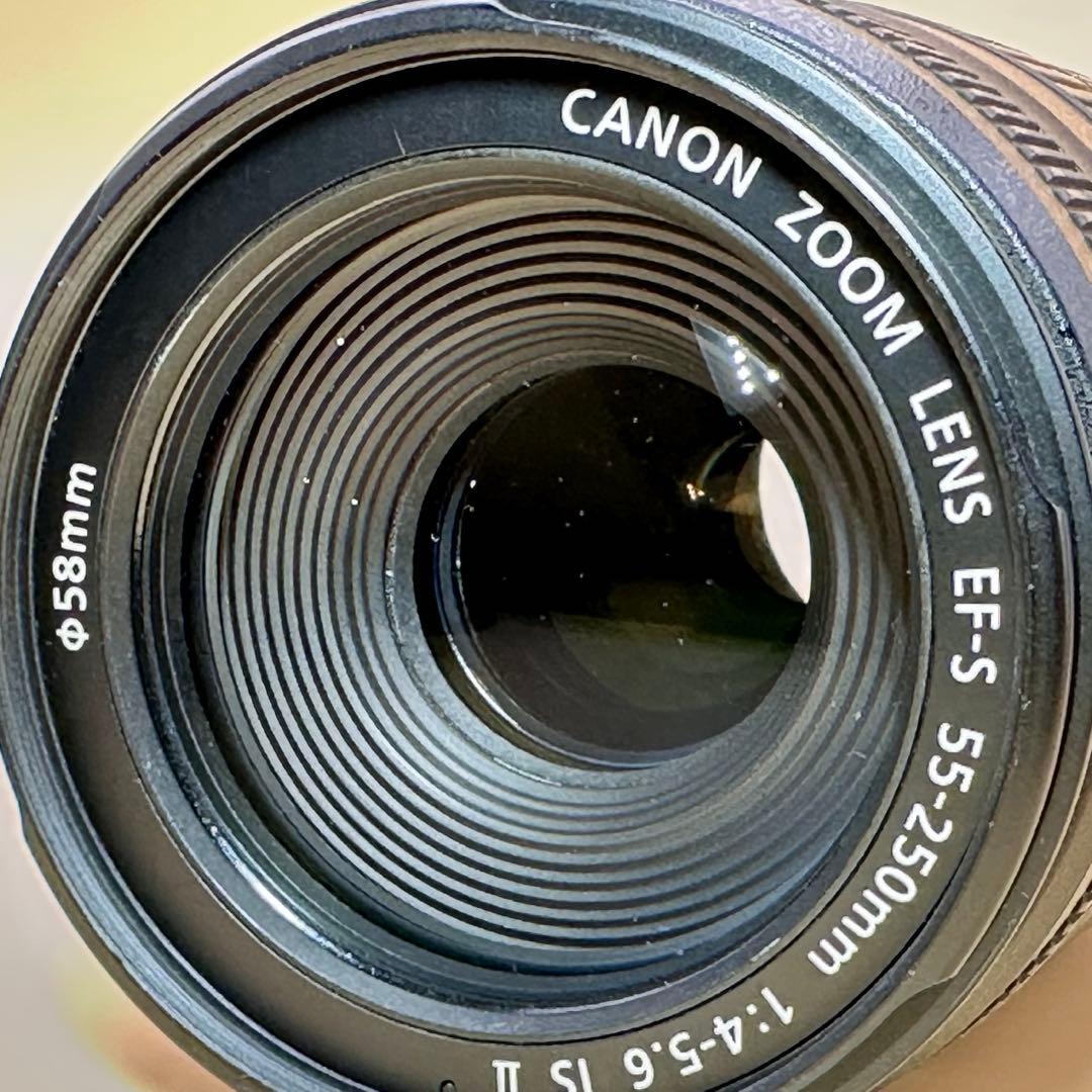 レンズ(ズーム) EF-S55-250mm F4-5.6 IS II