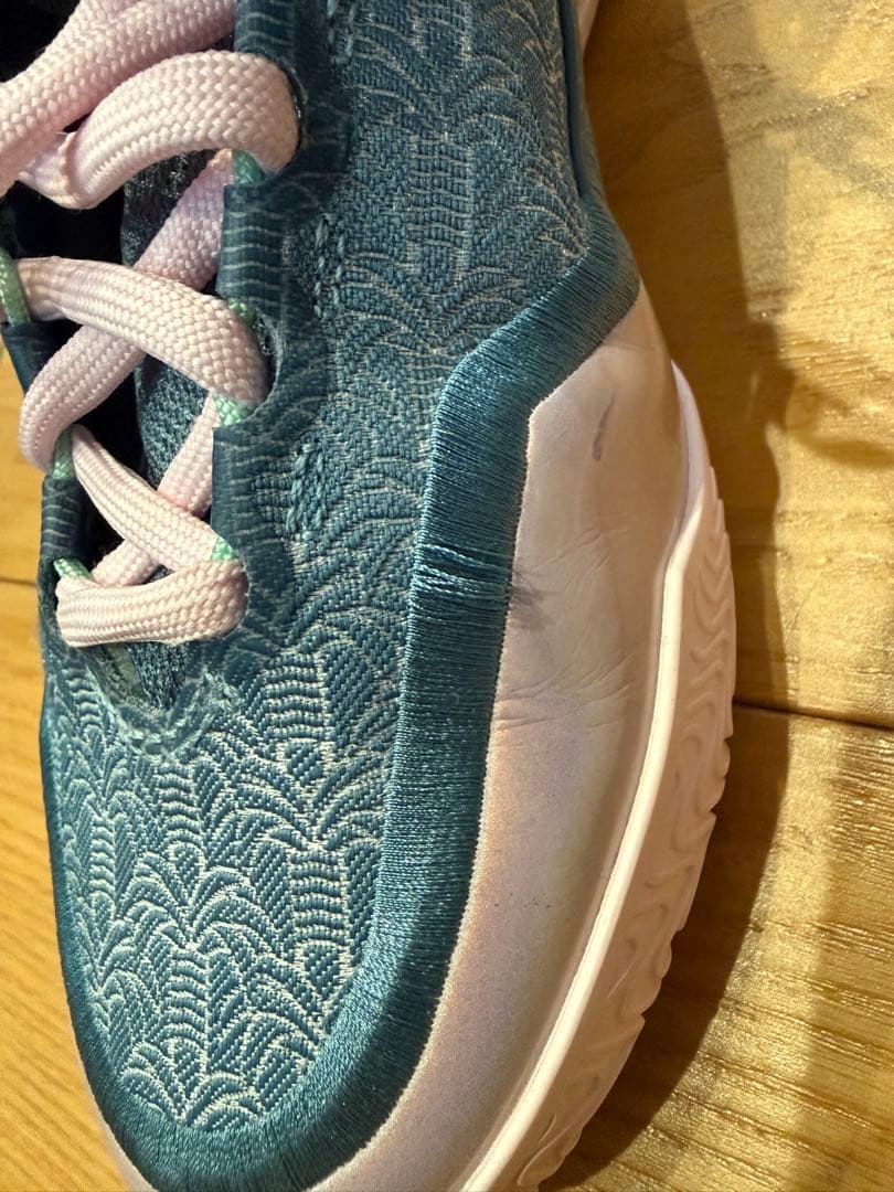 レブロン23 MimiTwice