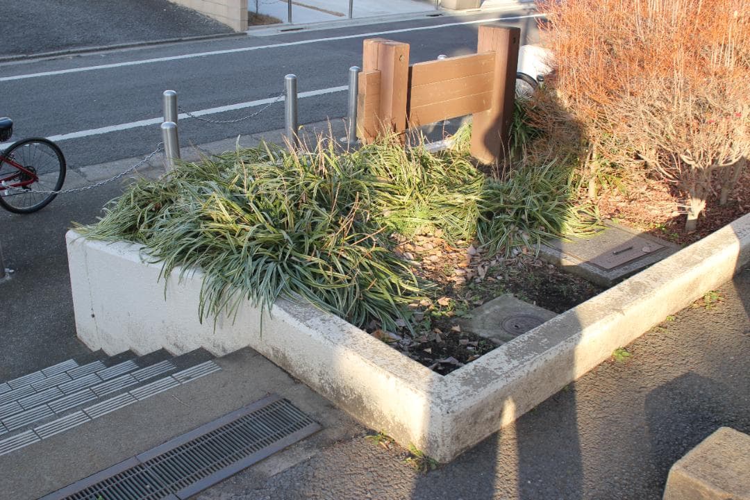 （美品）Canon EF 24mm F2.8