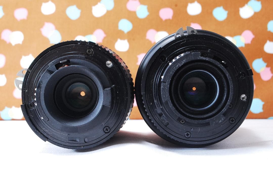 ✨超豪華新品級✨ショット数1748回✨Nikon D50 ダブルレンズセット