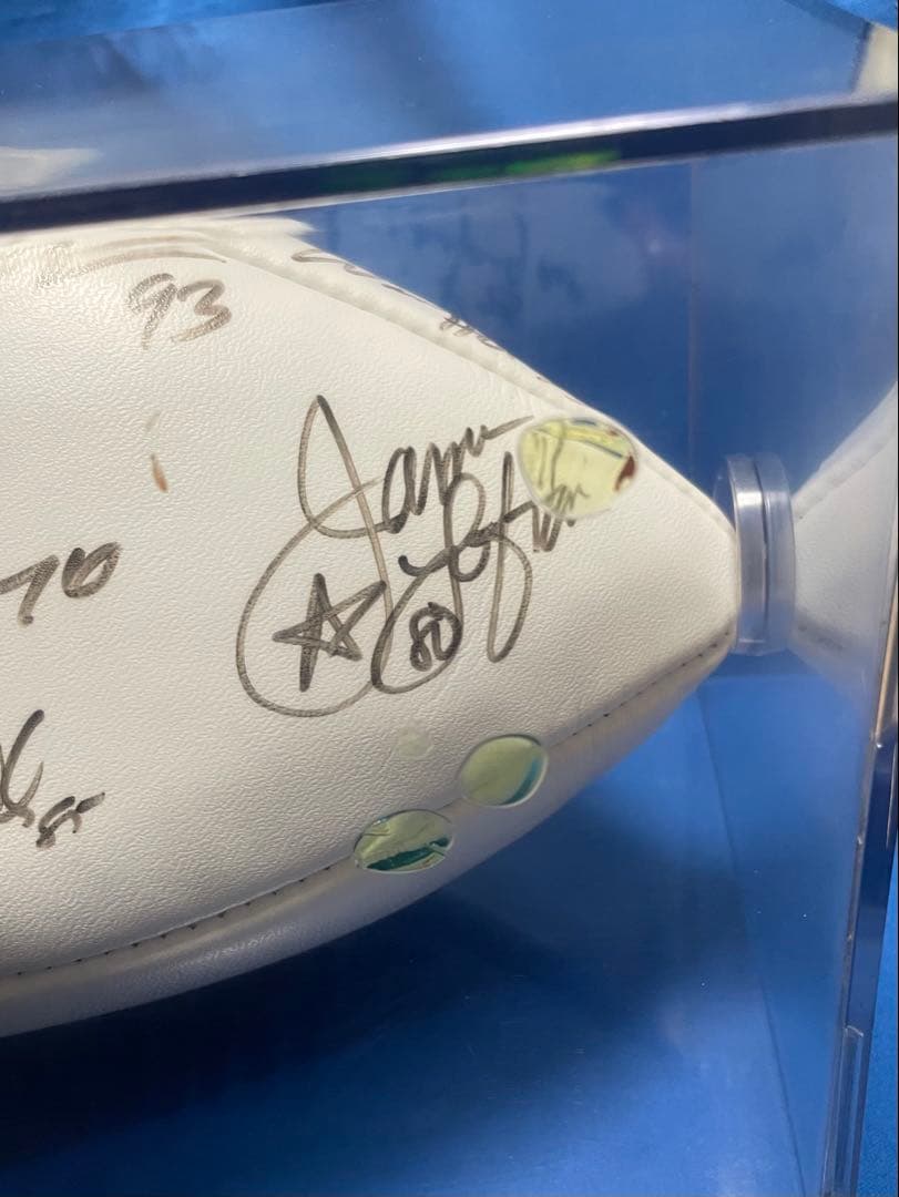 2000年NFLプロボウルロゴ入り直筆サインボール
