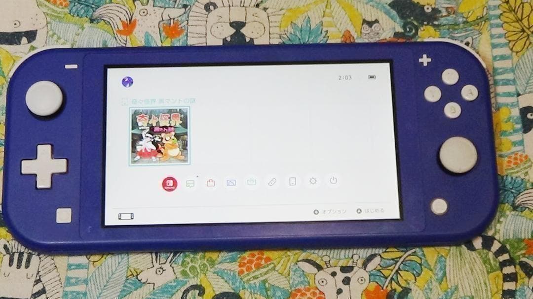 スイッチライト　Nintendo Switch Lite　本体 　充電器