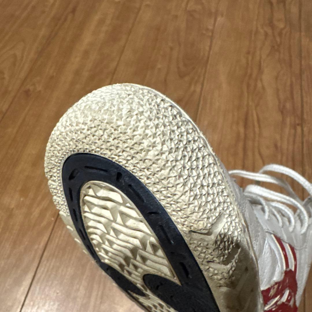 【再値下げ】ASICS TIGER ポイントゲッター　旧ロゴ　29センチ