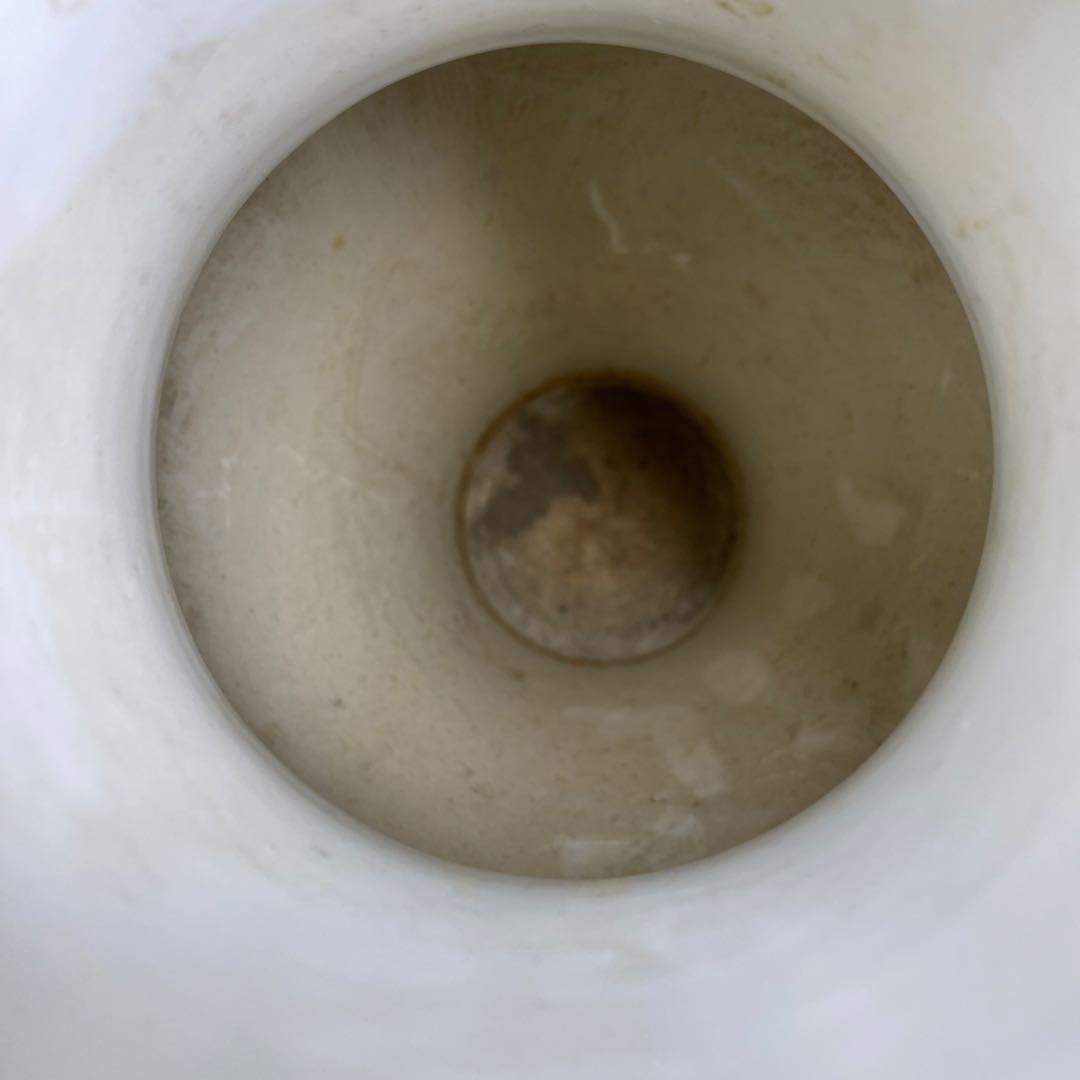 専用中国古玩 白磁花鳥図花瓶 高さ38 東Y7 0210 タルサ 在銘