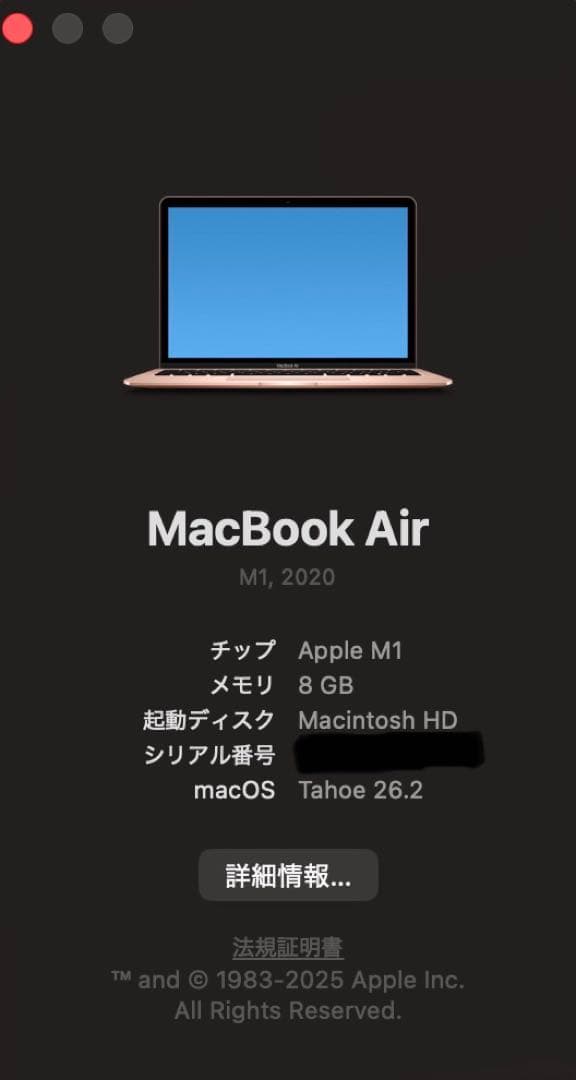 ゴールド MacBook 本体 Apple