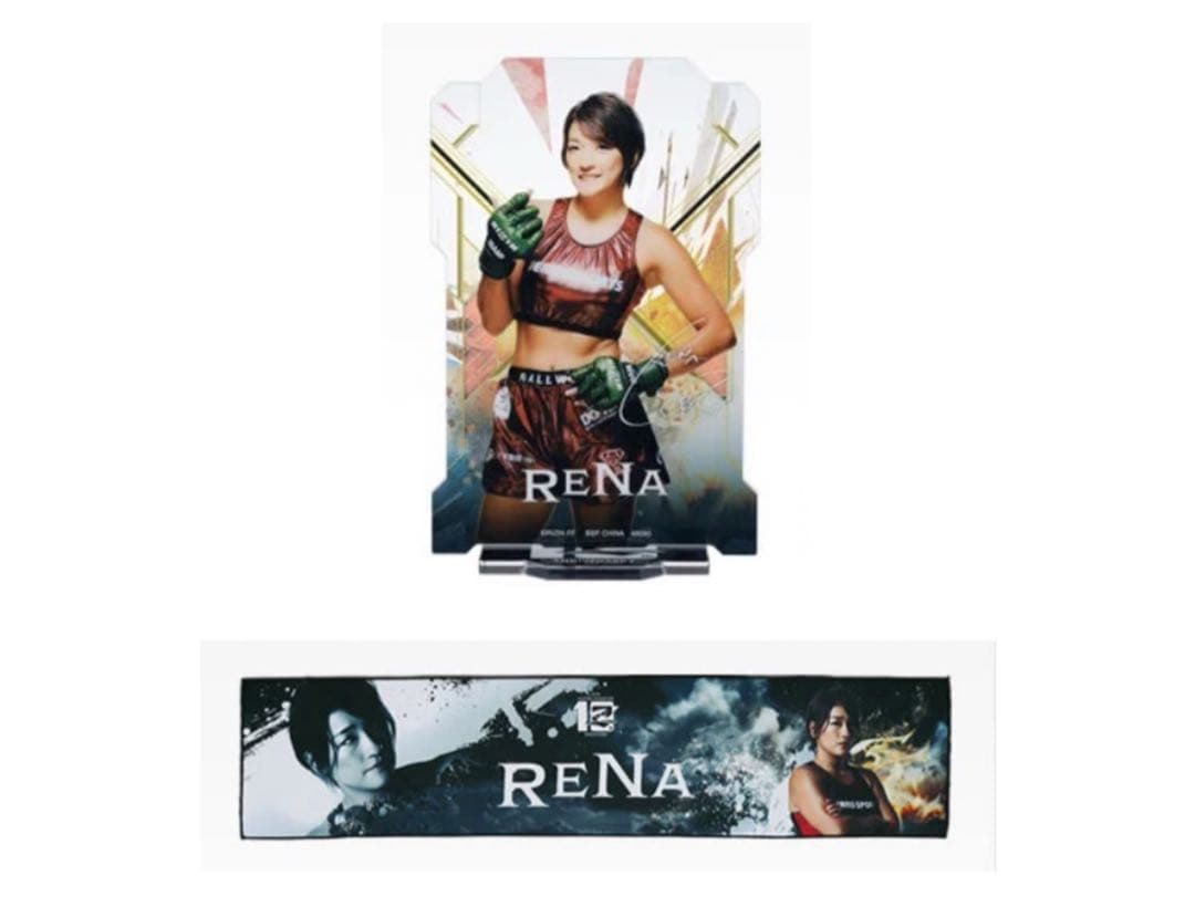 SHIGE様専用 プロレス ノア inamura OZAWA アクリルスタンド