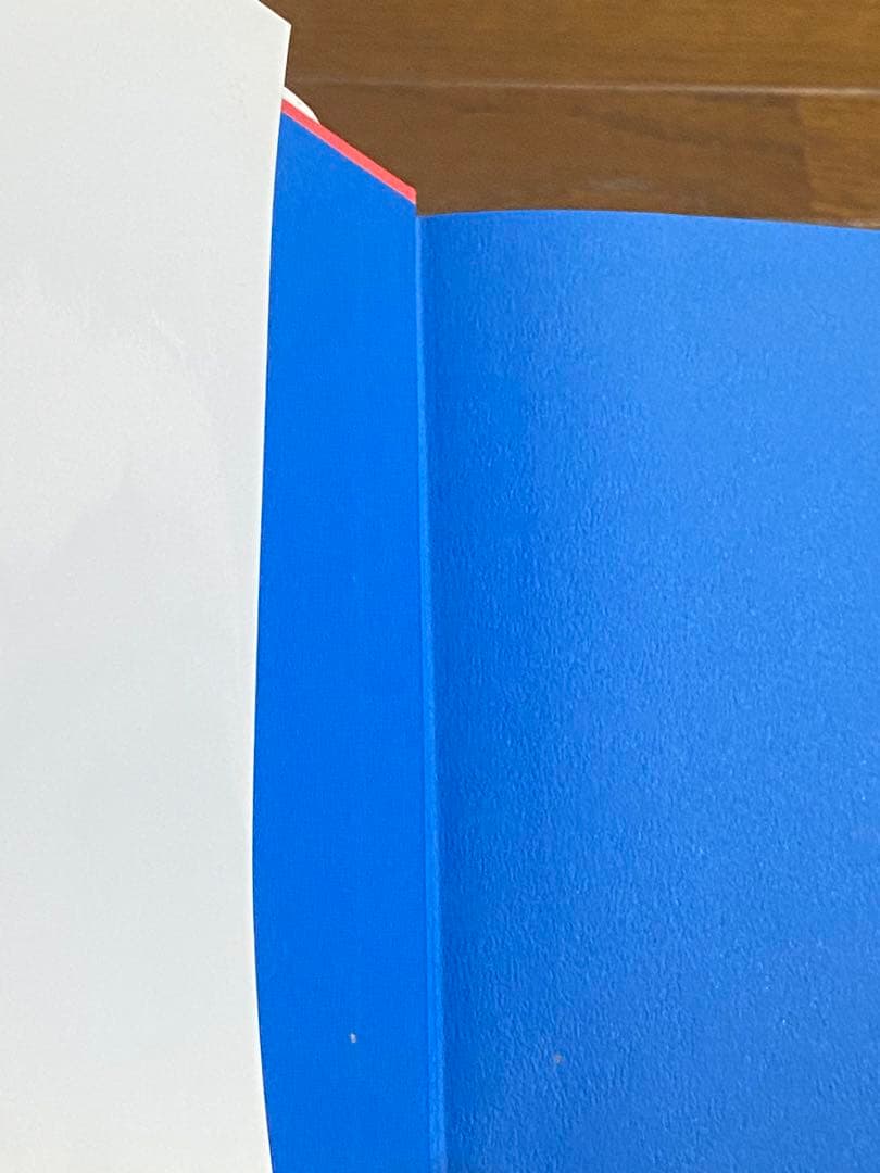 東京ヤクルトスワローズ　#1 池山隆寛選手　現監督　自叙伝書籍　直筆サイン