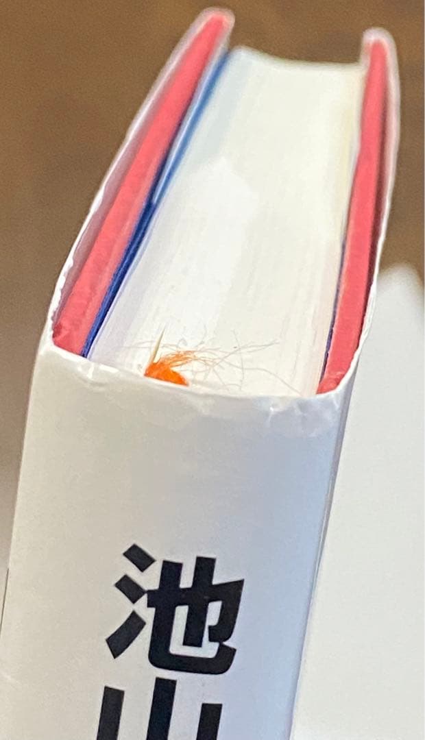 東京ヤクルトスワローズ　#1 池山隆寛選手　現監督　自叙伝書籍　直筆サイン