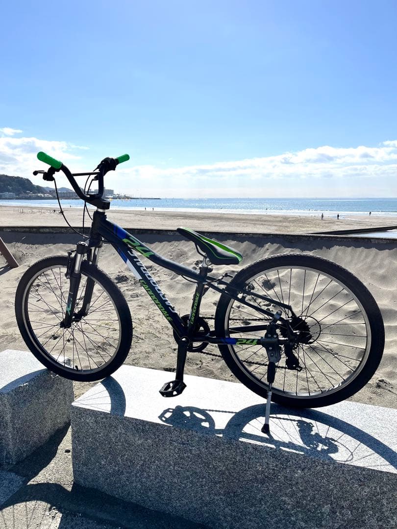 キャノンデール２４インチBMX TYPE新品サドル新品グリップ新品バンドルポスト