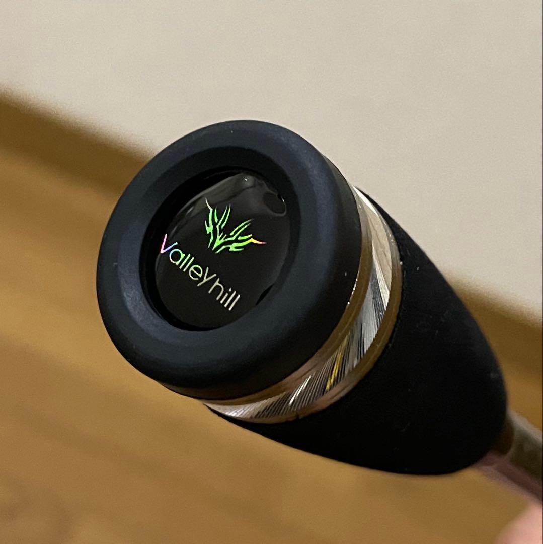 カフェオレ様バレーヒル　レトログラードX ティップランロッド　チタンsicガイド