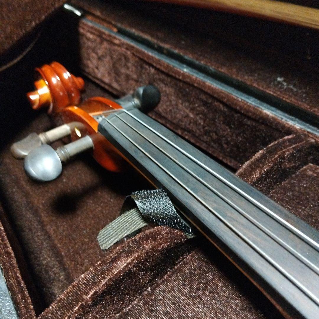 carlo giordano　カルロジョルダーノ　ビオラ　ヴィオラ　VL-1