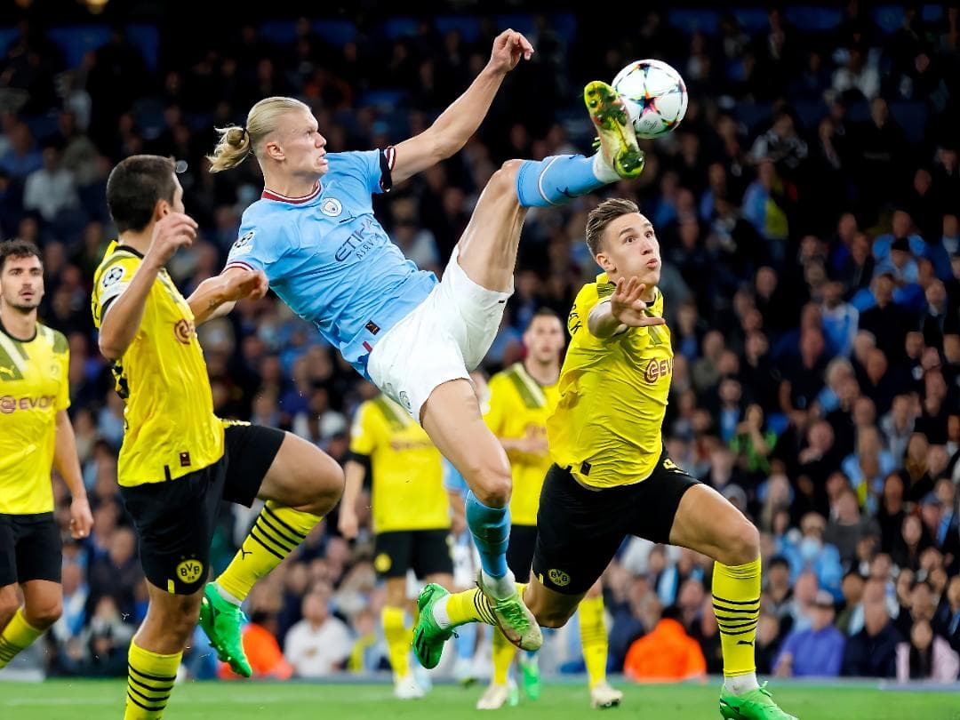 LeLis A3サイズポスター③セット