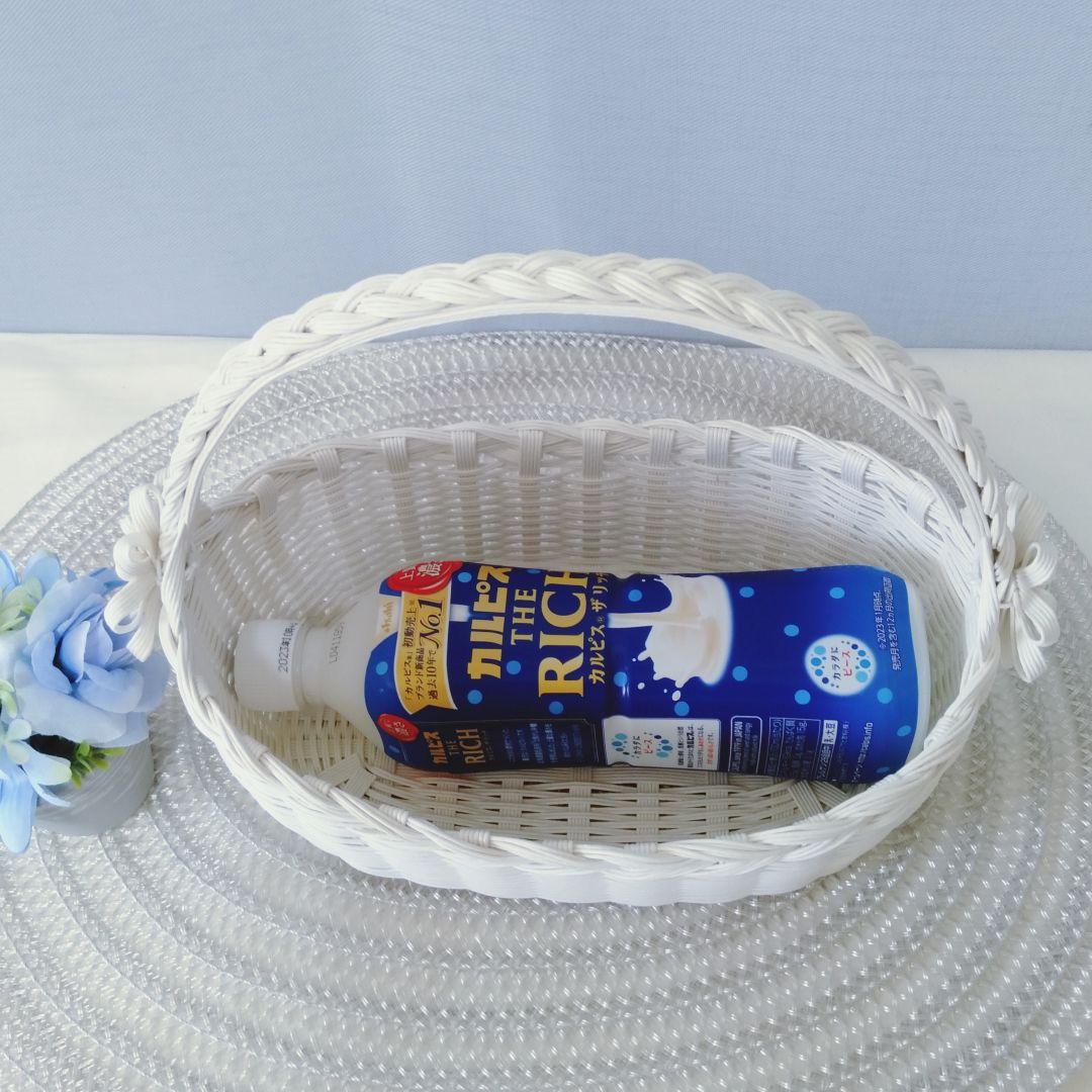 かご バスケット 中•横 エコクラフト 結婚式 クラフトバンド 小物入れ カゴ