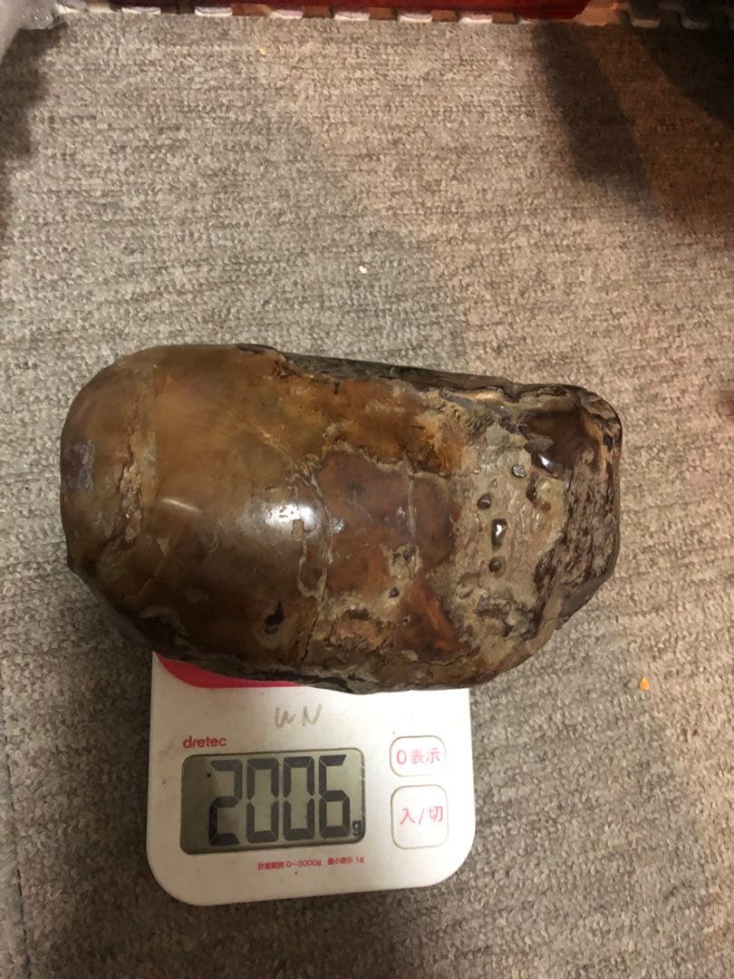 隕石 ？化石？ 木箱あり