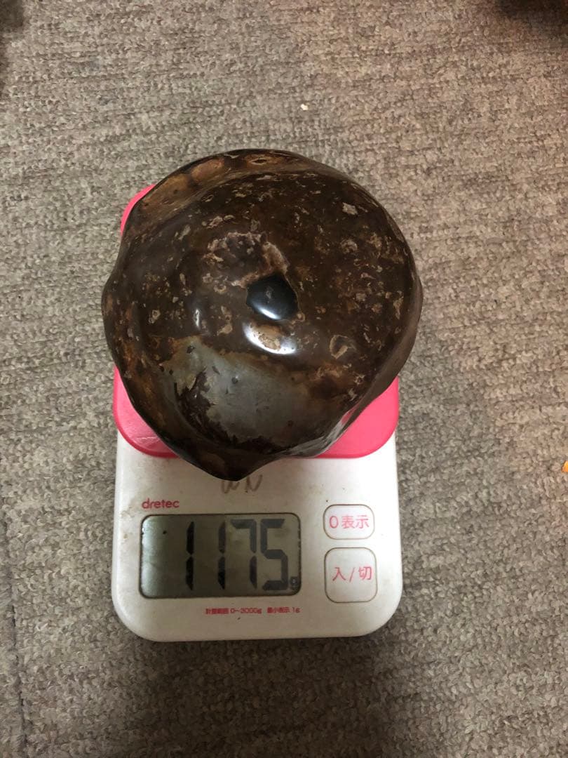 隕石 ？化石？ 木箱あり