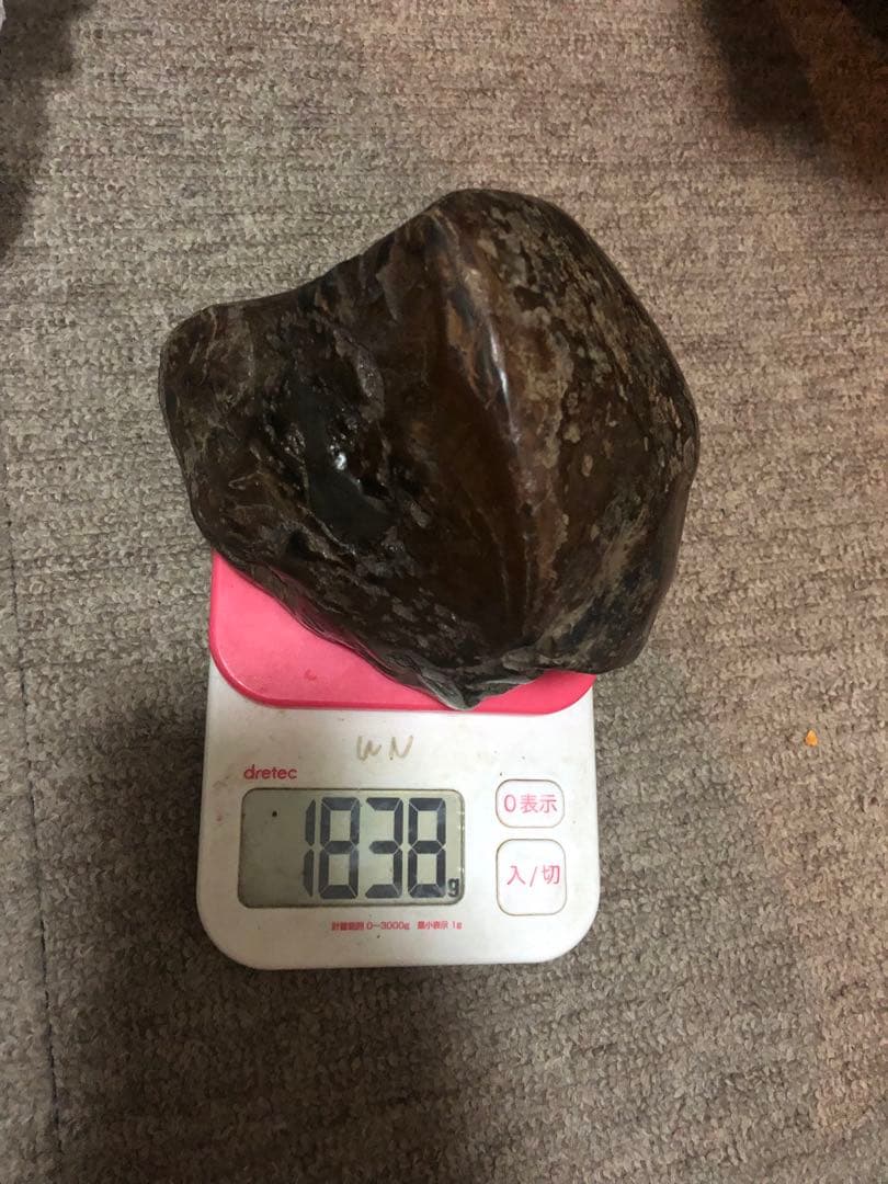 隕石 ？化石？ 木箱あり