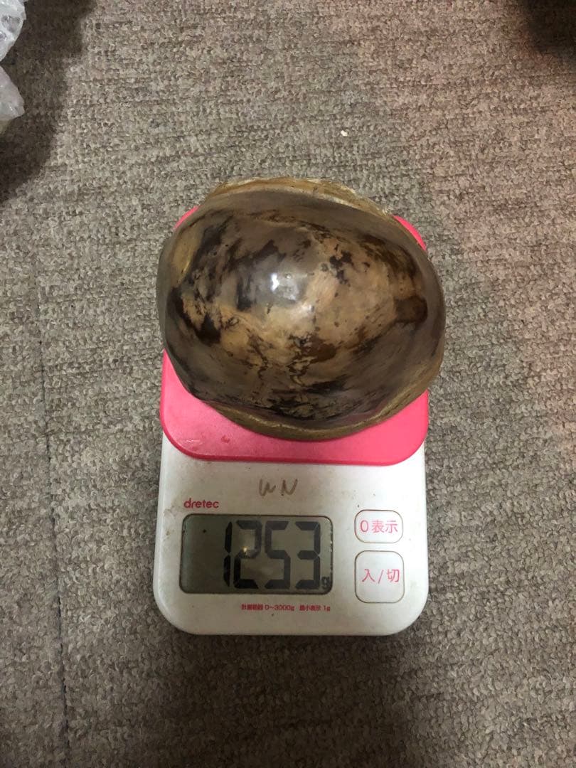 隕石 ？化石？ 木箱あり