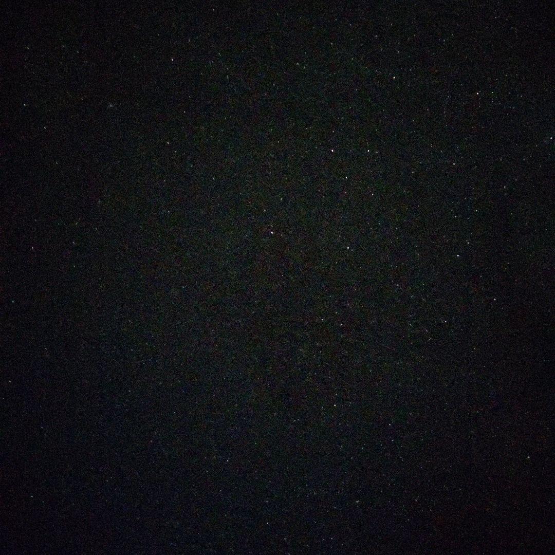 メガバス POPX 干支 丑