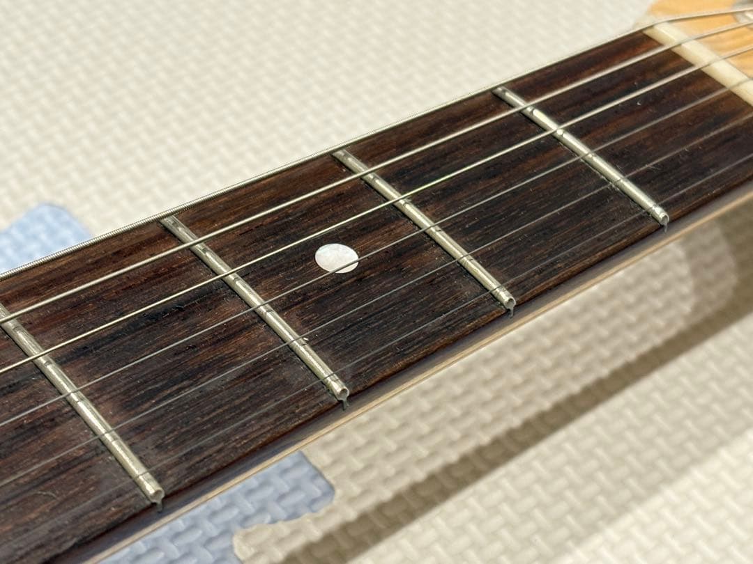 Combat Guitars TL custom ハードケース付