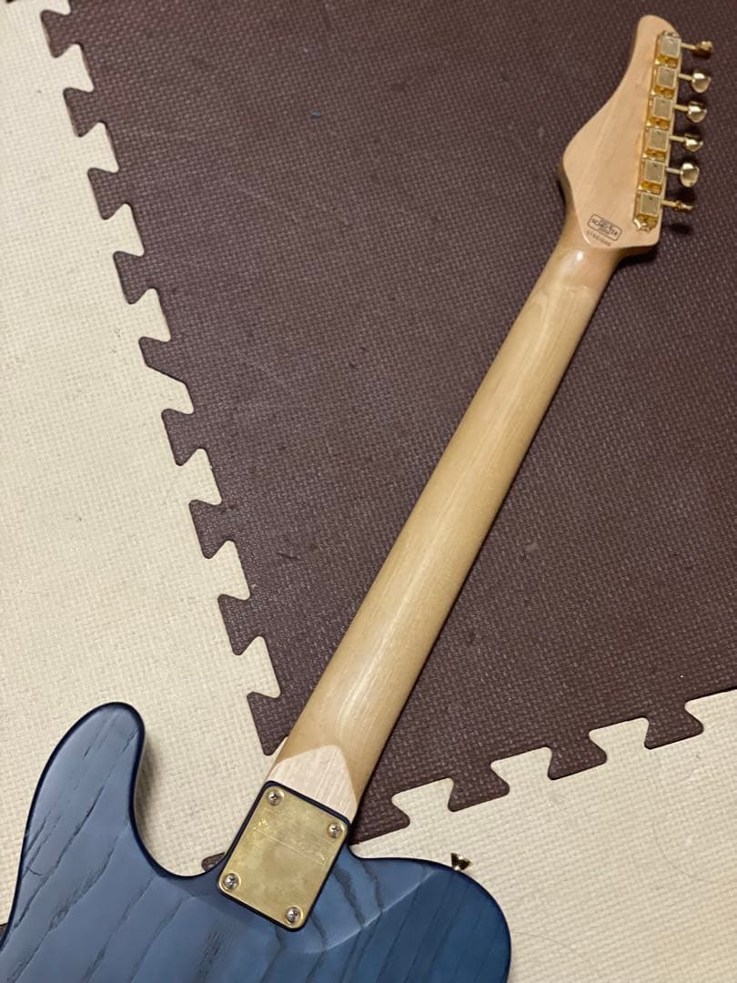 ギター SCHECTER / JAPAN / PS-PT-SP/PBT/R