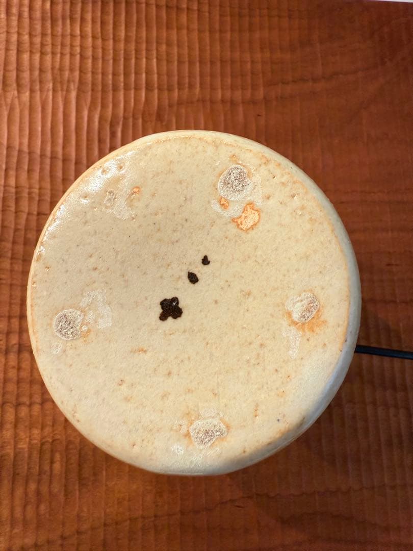 市川孝　大澤哲哉　大谷桃子　安齋新厚子　橋爪香代　cogu Cofe 高田志保