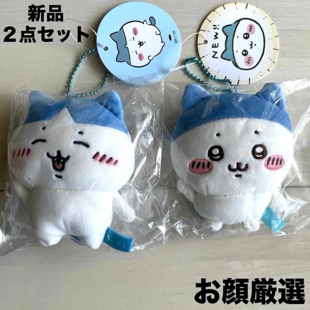 新品‼︎お顔厳選‼︎ ハチワレ スポーツ刈り(スポワレ) 生え変わり