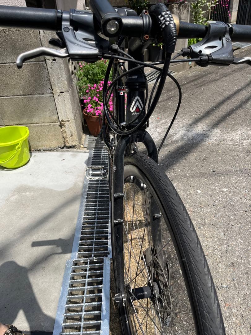 【レア】アラヤ　CX Muddy Fox バーンブラック