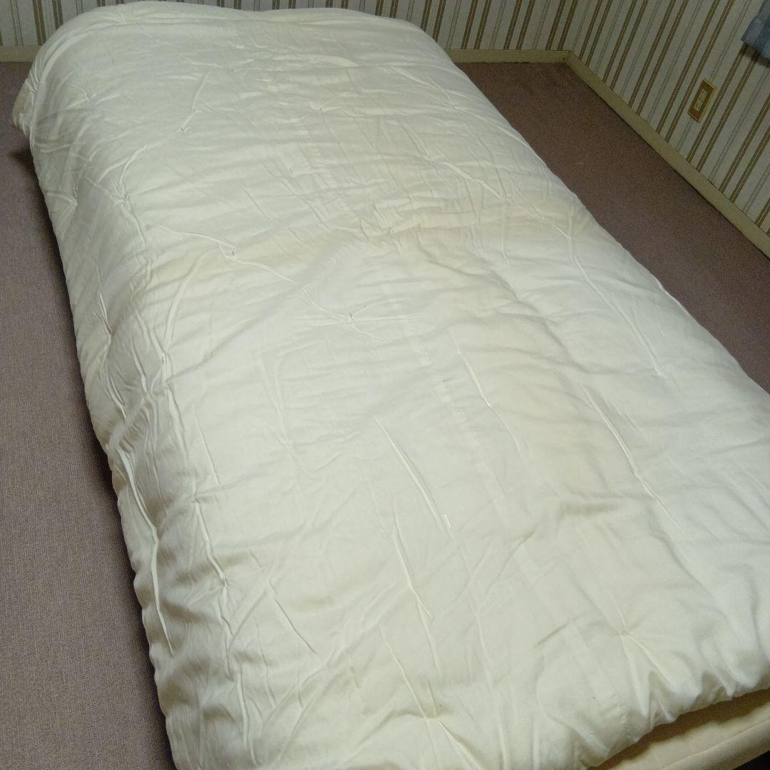 韓国刺繍　掛け布団　蝶々デザイン刺繍