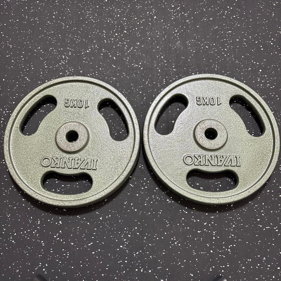 IVANKO ペイントEZグリッププレート 10kg 2枚セットΦ28mm