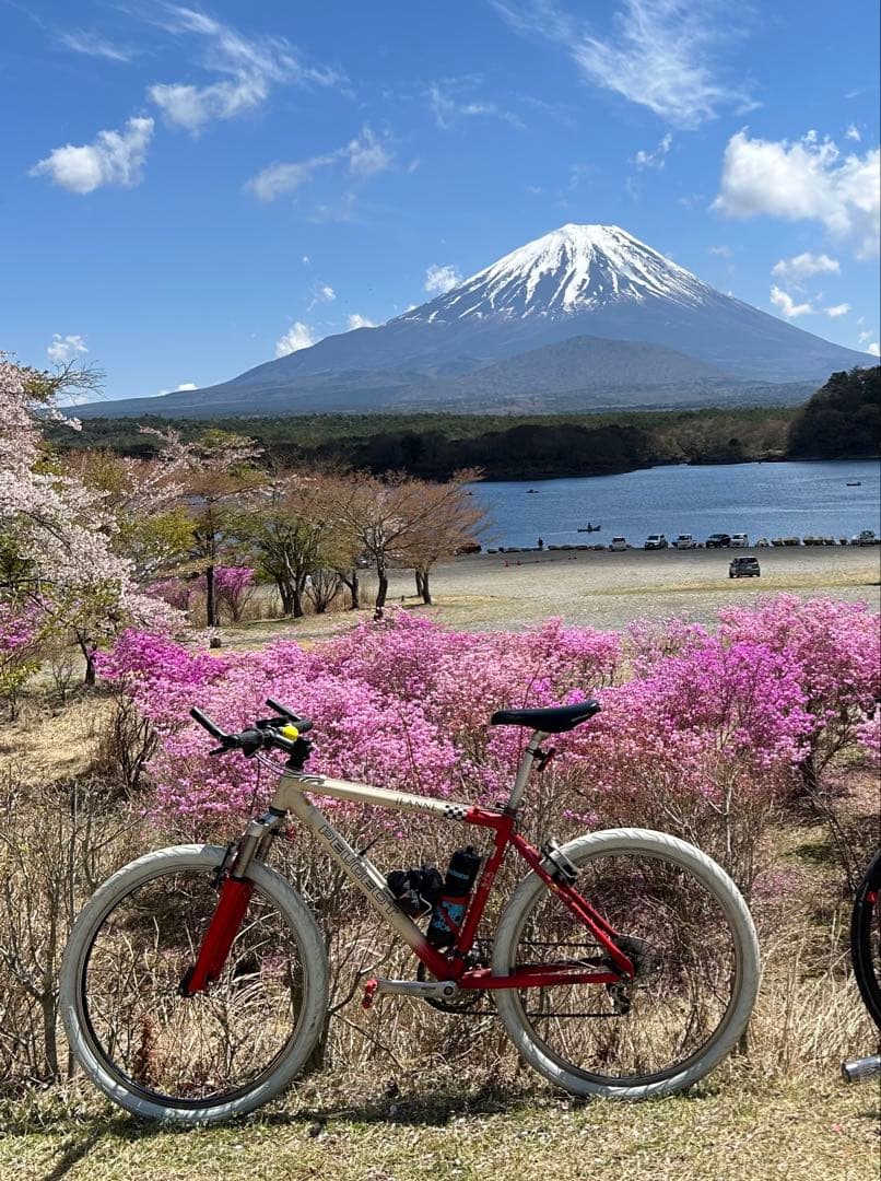 【値下げ】PEUGEOT MTB JEANNE プジョーMTBカスタム