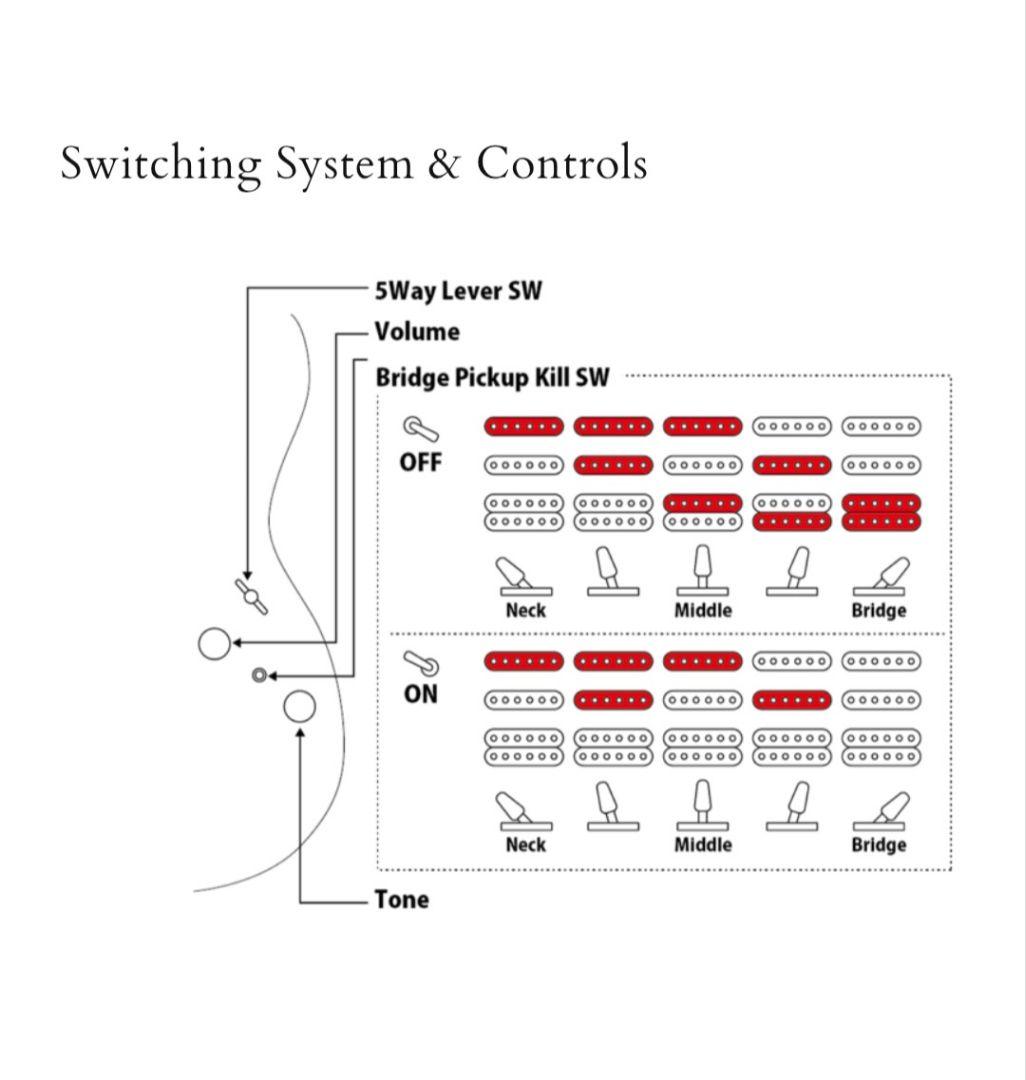【最終値下げ】フジゲン EOS2-EW1-RM 限定モデル【FUJIGEN】