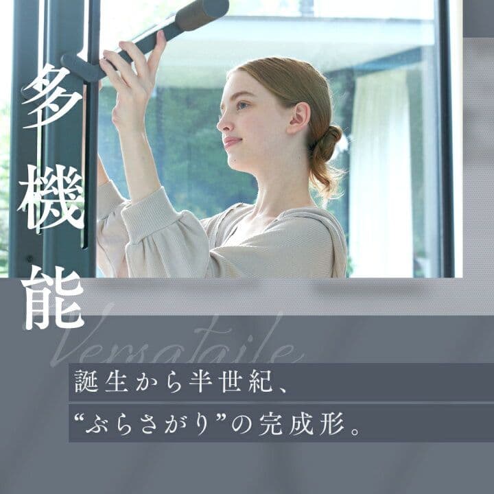 RELANESS RelaxHang ぶら下がり健康器 懸垂バー ハンガーラック