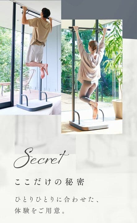 RELANESS RelaxHang ぶら下がり健康器 懸垂バー ハンガーラック