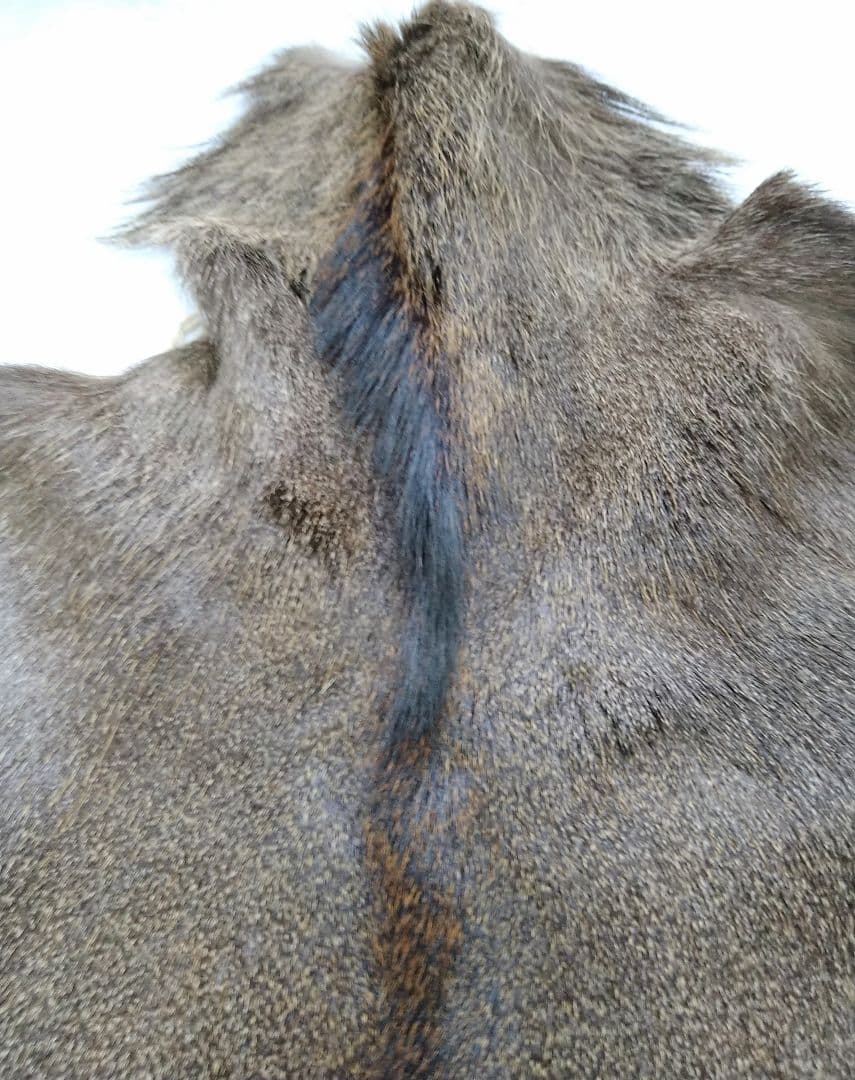 日本鹿　鹿敷物　ラグマット　キャンプアイテム